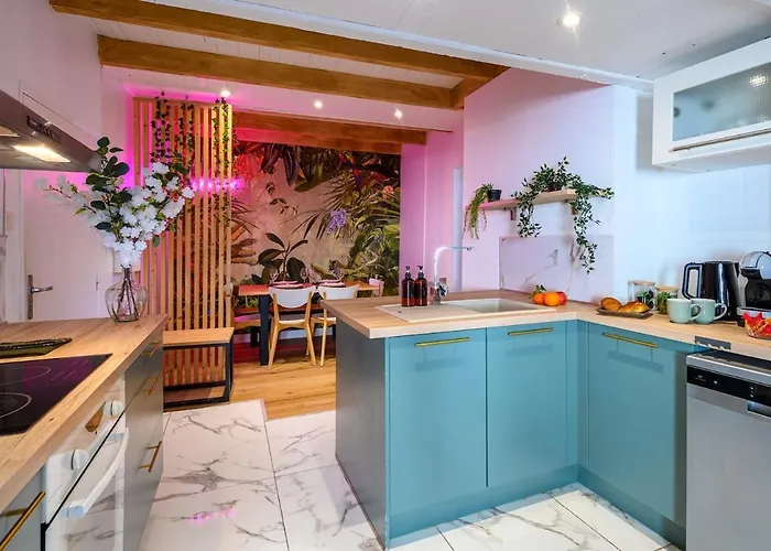 T3 Dupleix - Hypercentre - Calme - Ideal Groupe Montauban