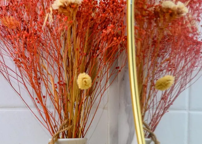 T3 Dupleix - Hypercentre - Calme - Ideal Groupe *